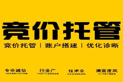 不同平台下的关键词竞价排名策略比较与案例分析
